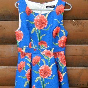 Alisa Pan Floral Sleeveless Retro Dress Size 10 - Garden Party Dress
